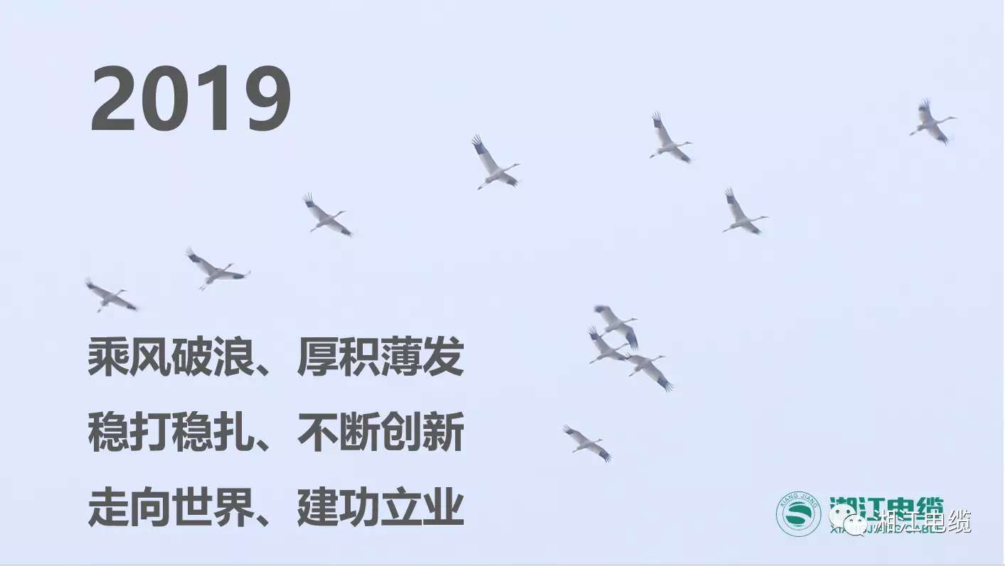 湘江電纜2019經(jīng)銷商會議暨迎新年會盛大舉行