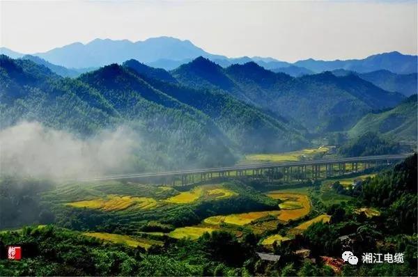 湘江電纜湖南衛(wèi)視《鄉(xiāng)村合伙人》一企幫扶一村